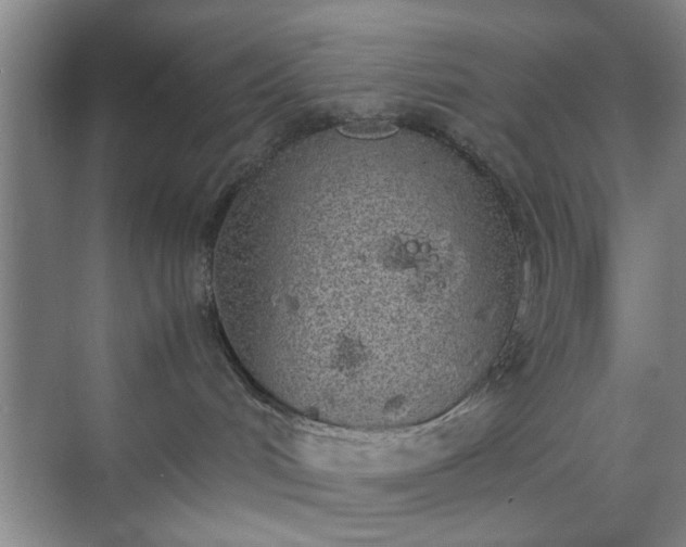 X0000070380048200606161355