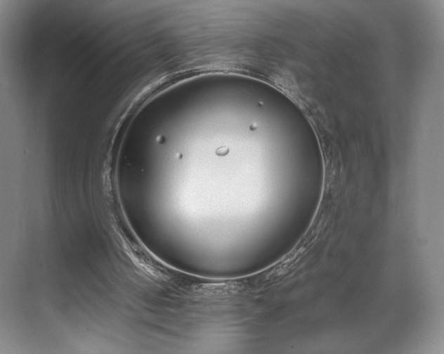 X0000070380050200606161354