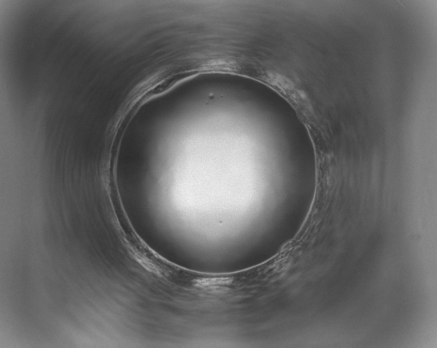 X0000070380051200606161354