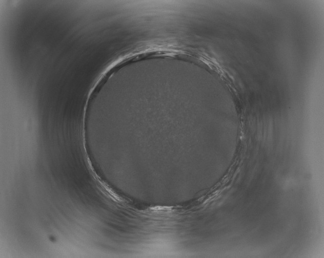 X0000070380052200606161354