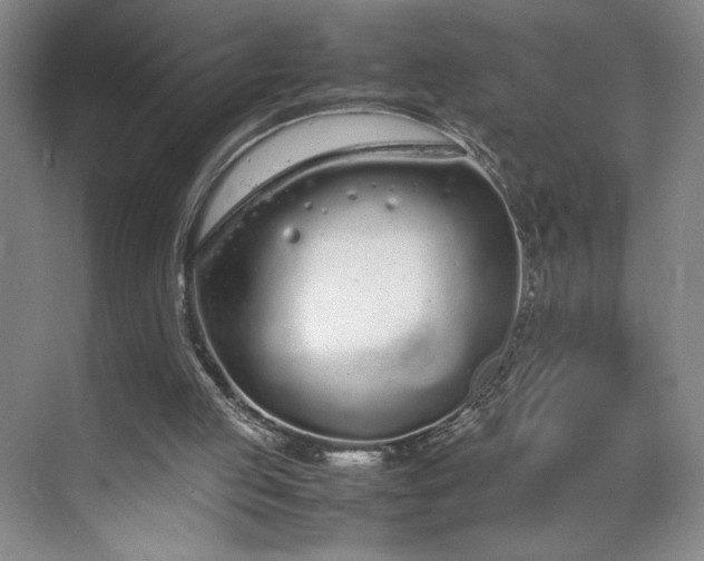 X0000070380053200606161354