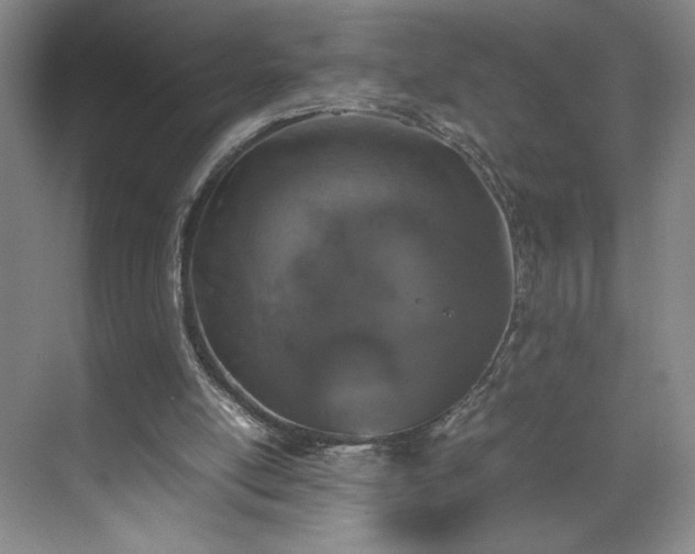 X0000070380054200606161354