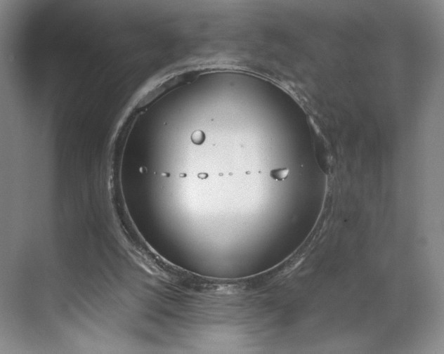 X0000070380056200606161354