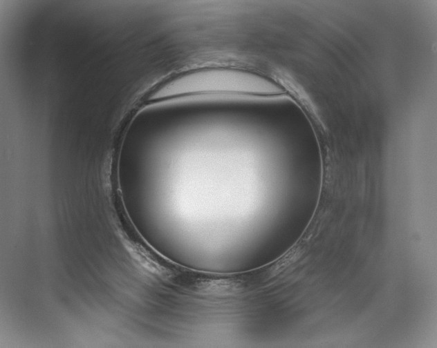 X0000070380058200606161354