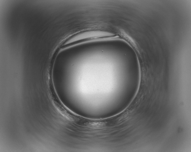 X0000070380059200606161354