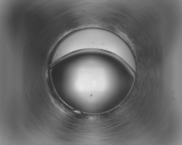 X0000070380060200606161354