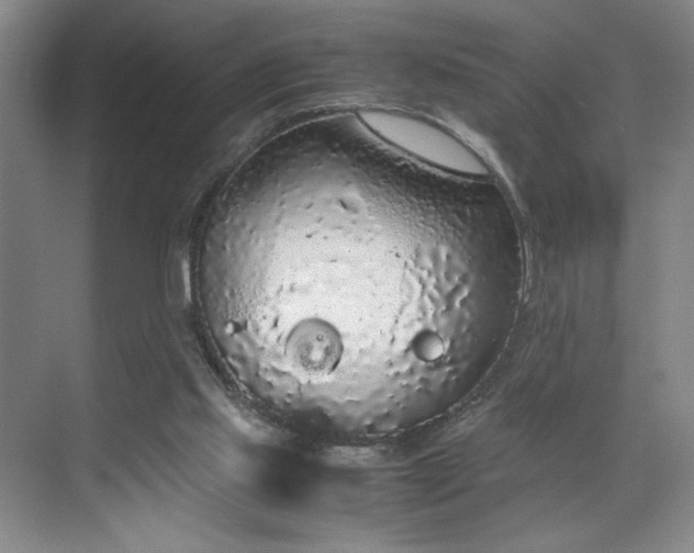 X0000070380061200606161354