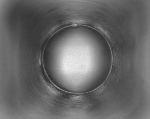 X0000070380062200606161354