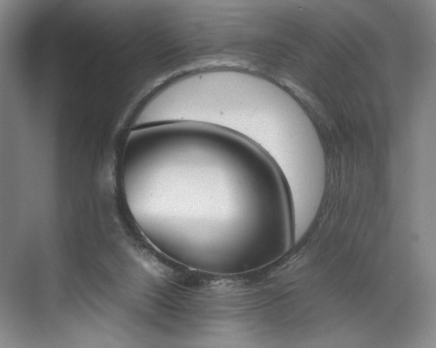 X0000070380064200606161354