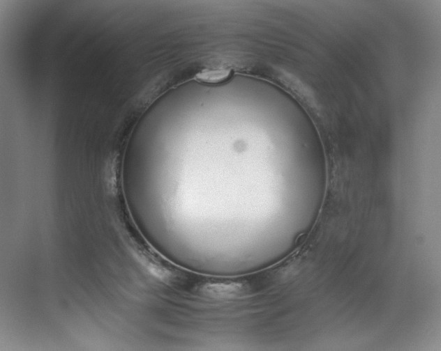 X0000070380065200606161355