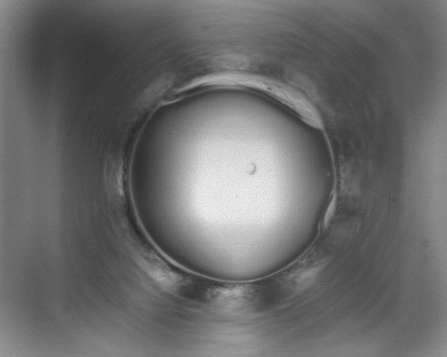 X0000070380068200606161355