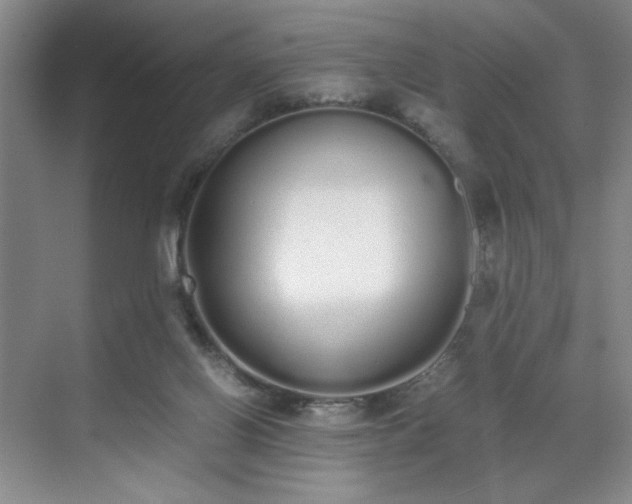 X0000070380070200606161355