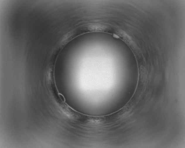 X0000070380071200606161355