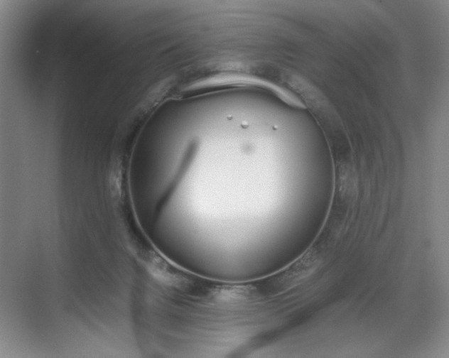 X0000070380072200606161355