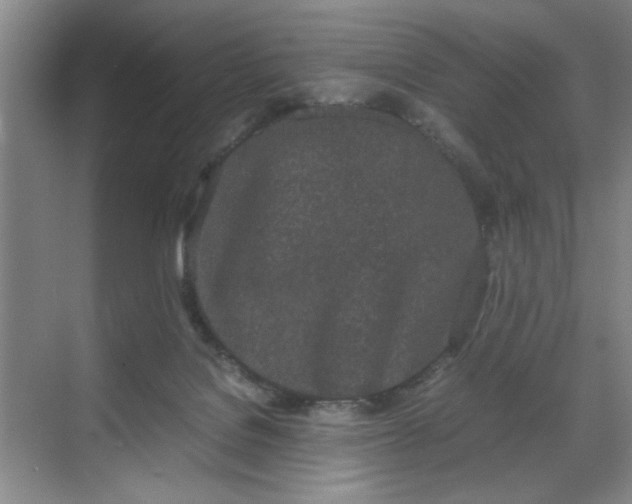 X0000070380076200606161355