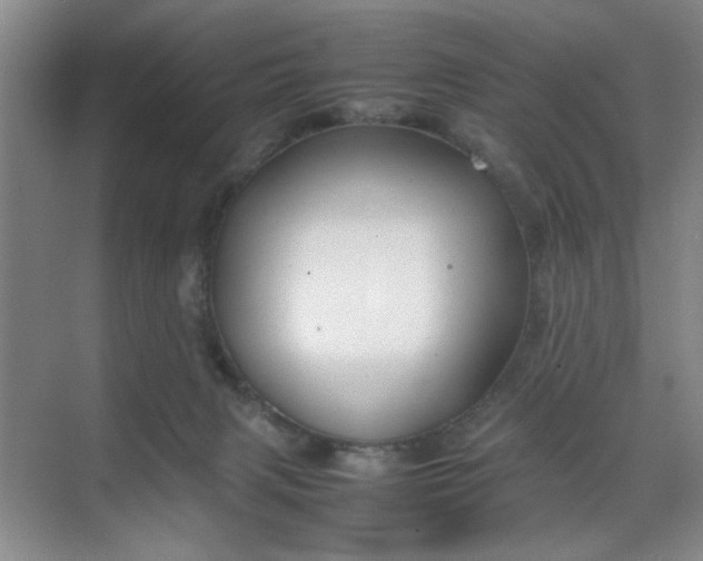 X0000070380079200606161355