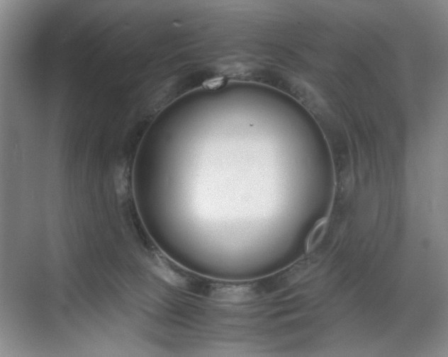 X0000070380081200606161355