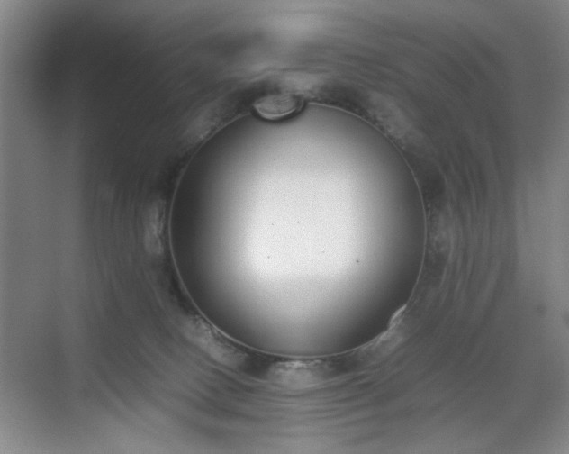 X0000070380082200606161355