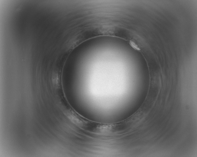 X0000070380084200606161355