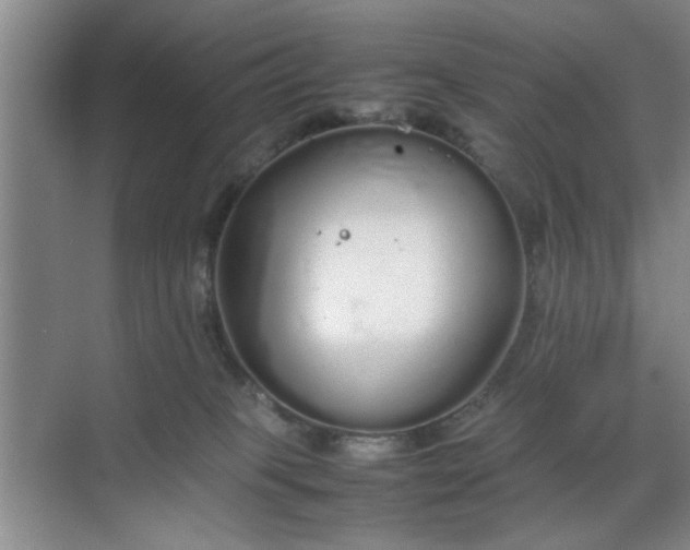 X0000070380085200606161355