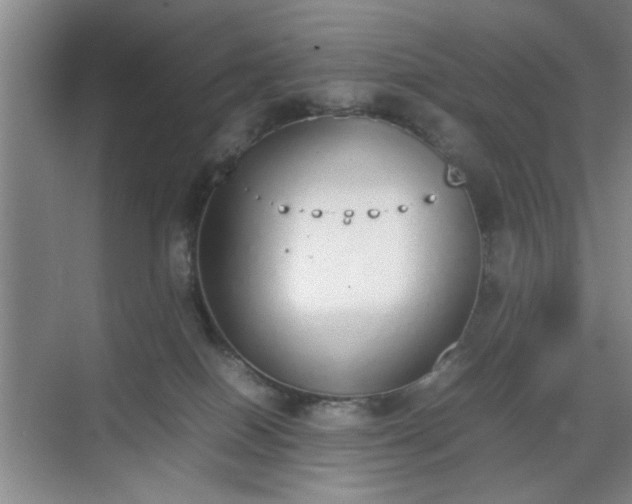 X0000070380086200606161355