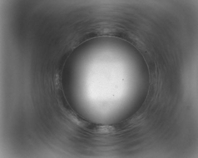 X0000070380087200606161355