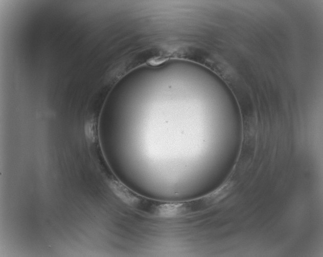 X0000070380090200606161355