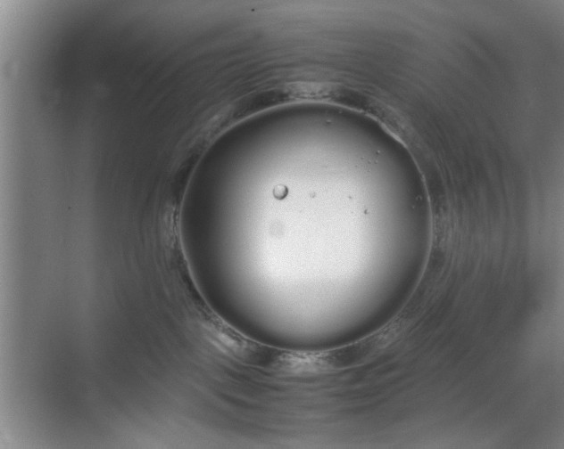 X0000070380093200606161355