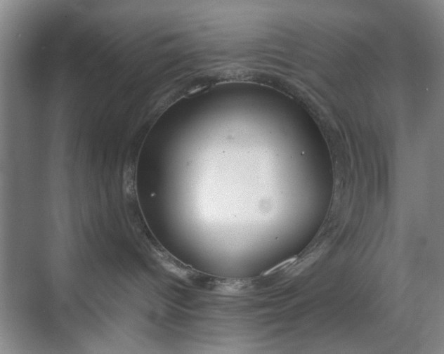 X0000070380096200606161355