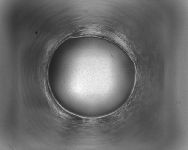 X0000070380097200606161354