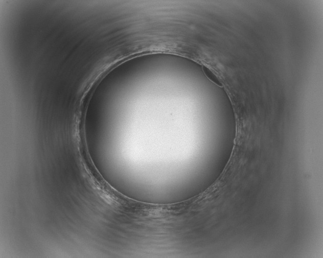 X0000070380098200606161354