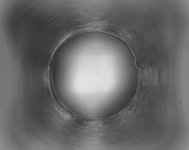 X0000070380100200606161354