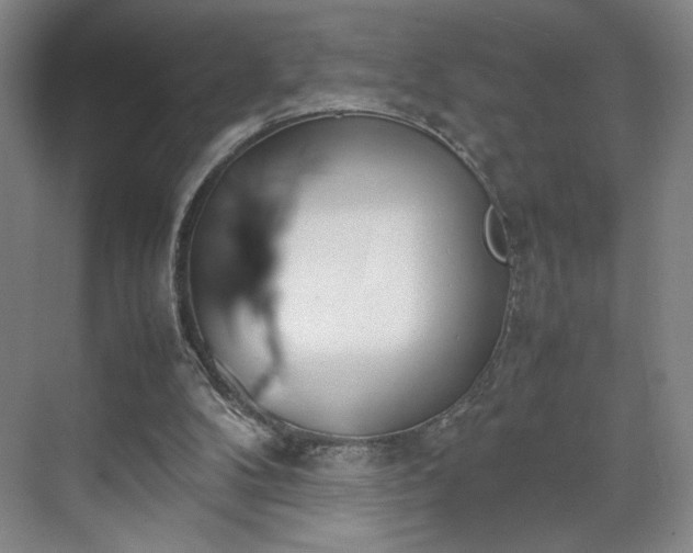 X0000070380104200606161354