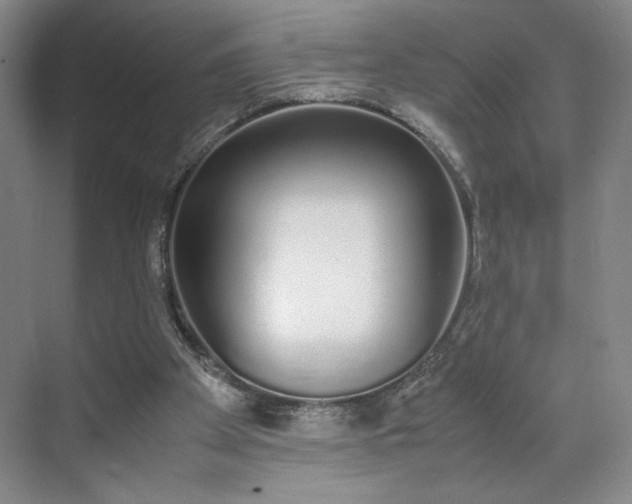 X0000070380105200606161354