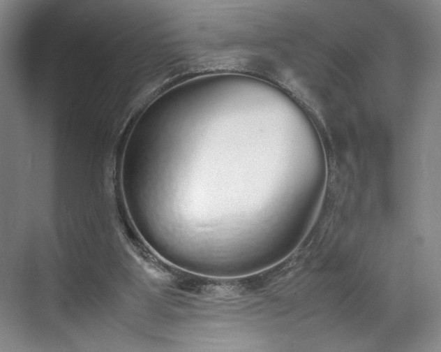 X0000070380107200606161354