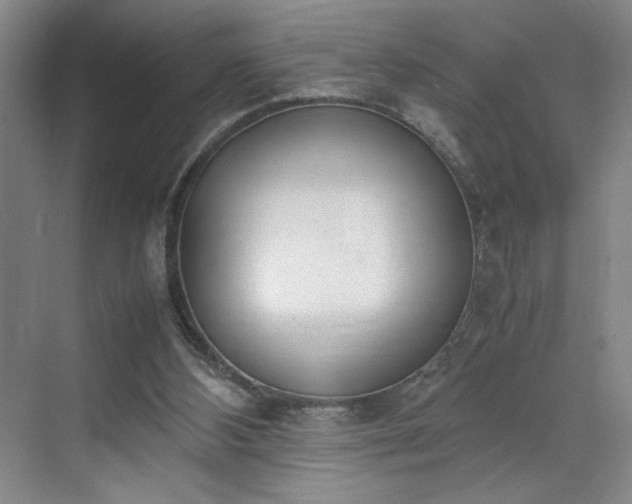 X0000070380108200606161354