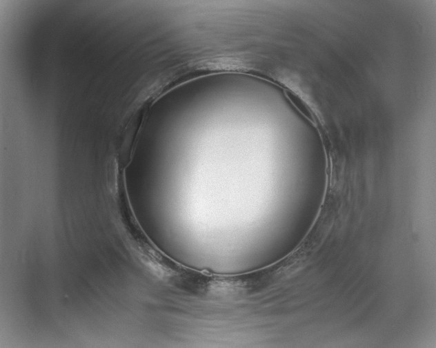 X0000070380109200606161354