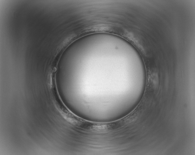 X0000070380110200606161354