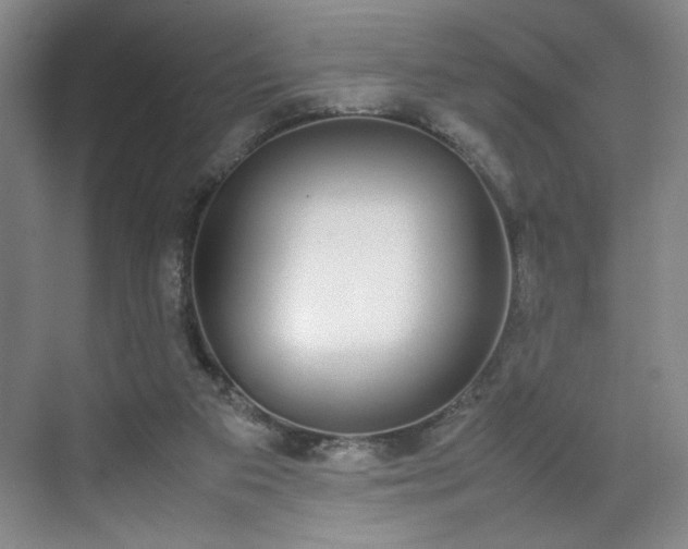 X0000070380113200606161354