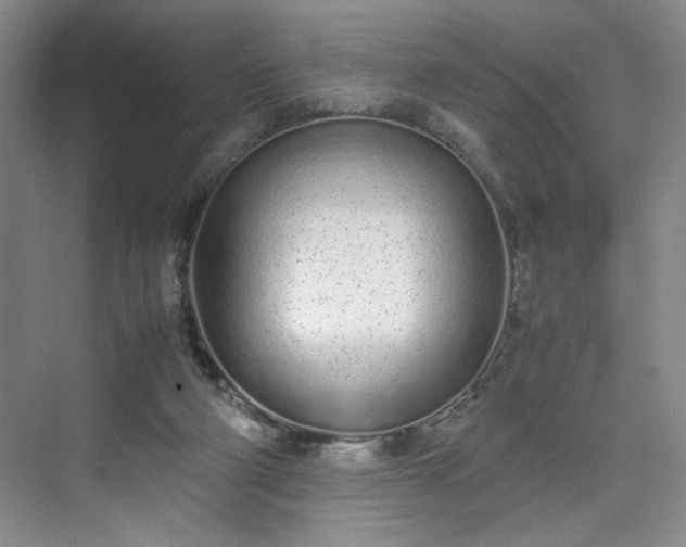 X0000070380114200606161354