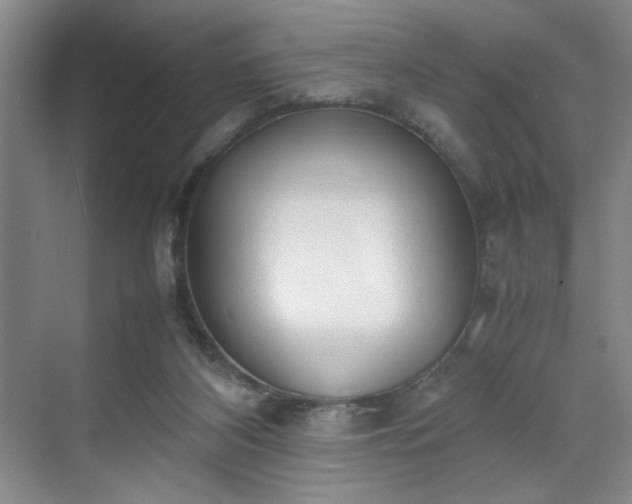 X0000070380116200606161354