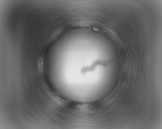 X0000070380120200606161354