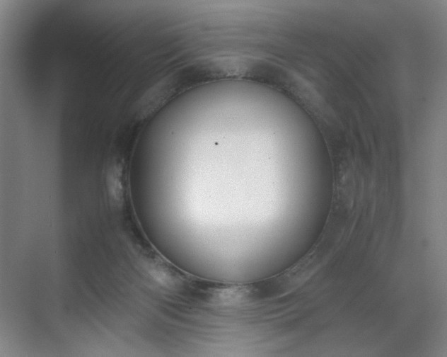 X0000070380122200606161354