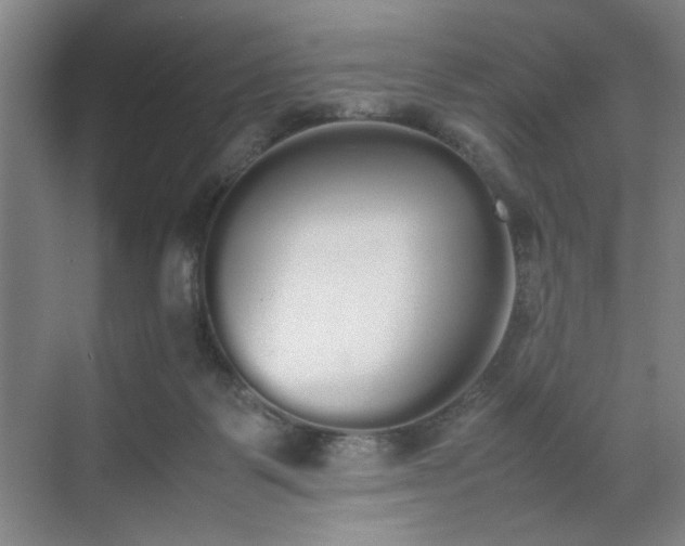 X0000070380123200606161354