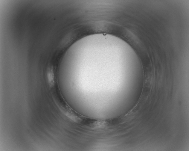 X0000070380124200606161354