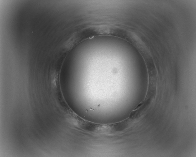 X0000070380125200606161354