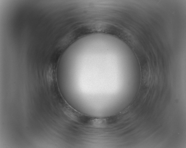 X0000070380126200606161354