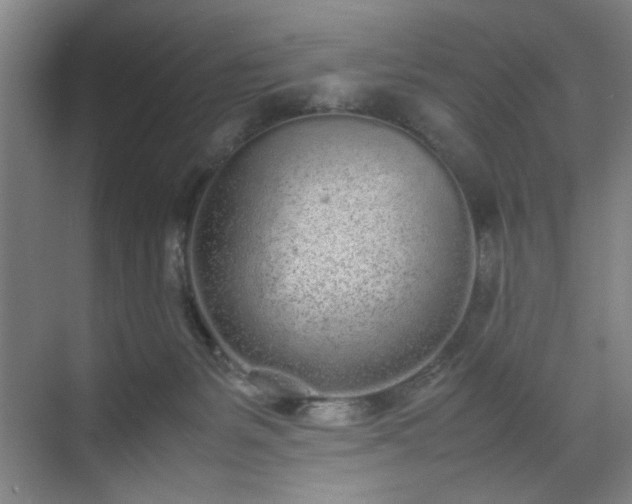 X0000070380127200606161354