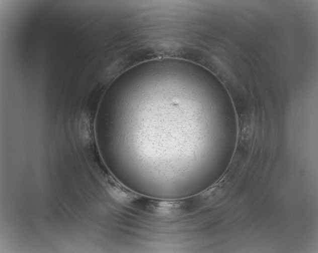 X0000070380130200606161354