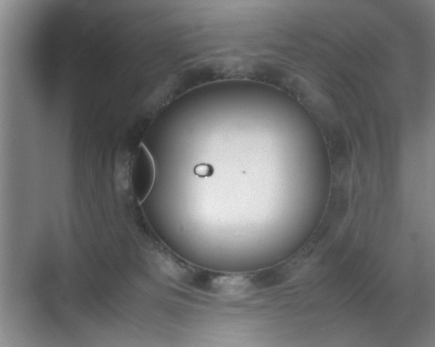 X0000070380133200606161354